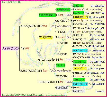 Pedigree of A797(CBC) :
four generations presented<br />it's temporarily unavailable, sorry!