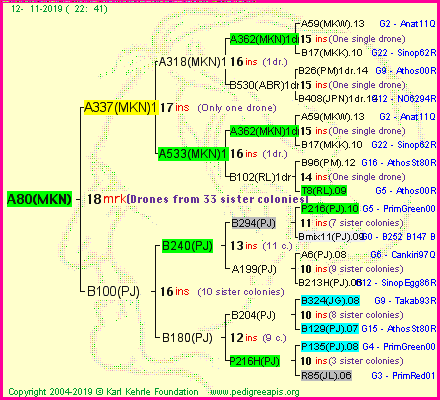 Pedigree of A80(MKN) :
four generations presented<br />it's temporarily unavailable, sorry!