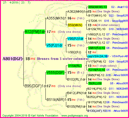 Pedigree of A801(DGF) :
four generations presented<br />it's temporarily unavailable, sorry!