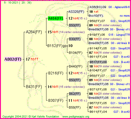 Pedigree of A802(FF) :
four generations presented
it's temporarily unavailable, sorry!