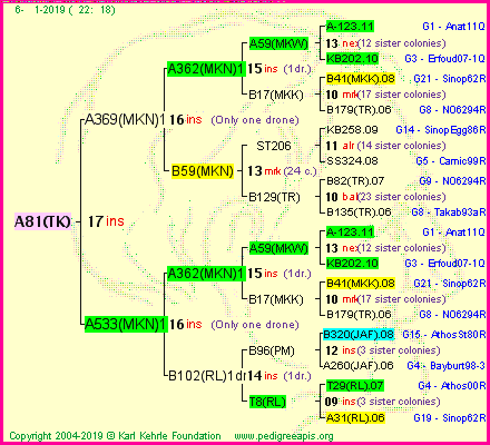 Pedigree of A81(TK) :
four generations presented
it's temporarily unavailable, sorry!