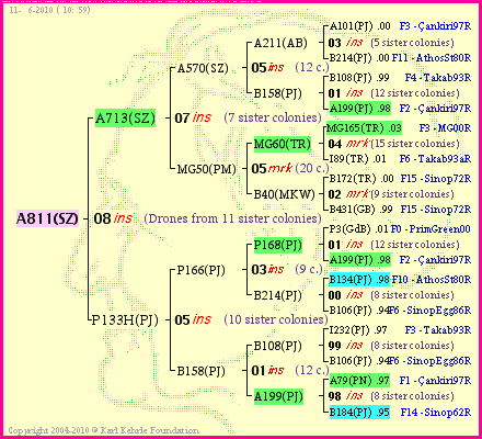 Pedigree of A811(SZ) :
four generations presented