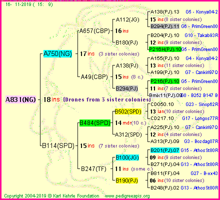 Pedigree of A831(NG) :
four generations presented<br />it's temporarily unavailable, sorry!