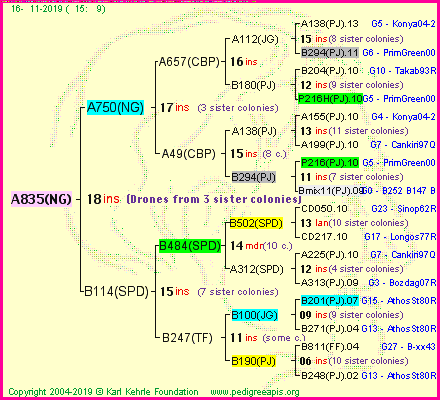 Pedigree of A835(NG) :
four generations presented
it's temporarily unavailable, sorry!