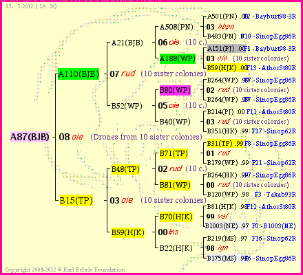 Pedigree of A87(BJB) :
four generations presented