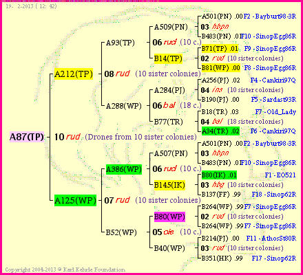 Pedigree of A87(TP) :
four generations presented