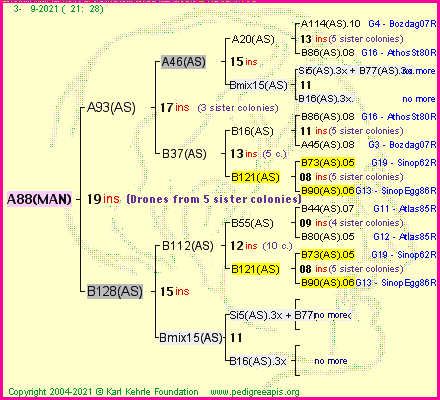 Pedigree of A88(MAN) :
four generations presented
it's temporarily unavailable, sorry!