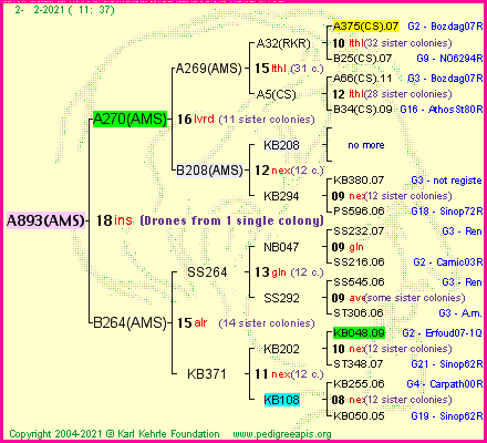 Pedigree of A893(AMS) :
four generations presented
it's temporarily unavailable, sorry!