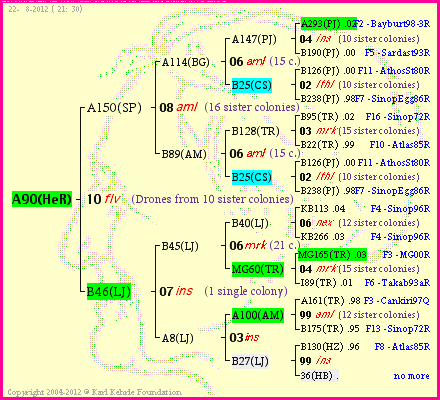 Pedigree of A90(HeR) :
four generations presented