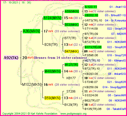 Pedigree of A92(TK) :
four generations presented
it's temporarily unavailable, sorry!