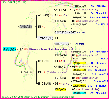 Pedigree of A93(AS) :
four generations presented
it's temporarily unavailable, sorry!