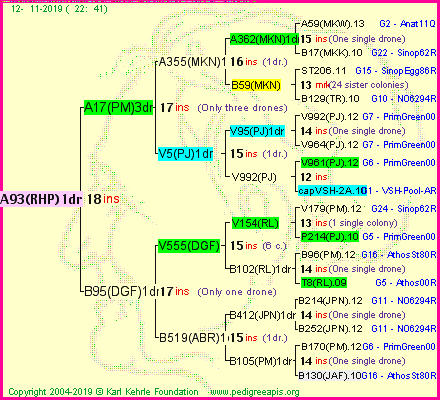 Pedigree of A93(RHP)1dr :
four generations presented<br />it's temporarily unavailable, sorry!