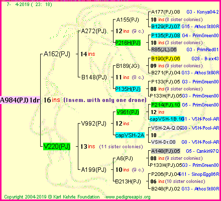 Pedigree of A984(PJ)1dr :
four generations presented
it's temporarily unavailable, sorry!