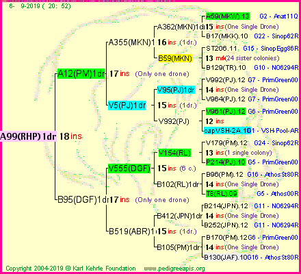 Pedigree of A99(RHP)1dr :
four generations presented<br />it's temporarily unavailable, sorry!