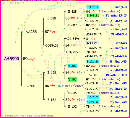 Pedigree of AA8990 :
four generations presented