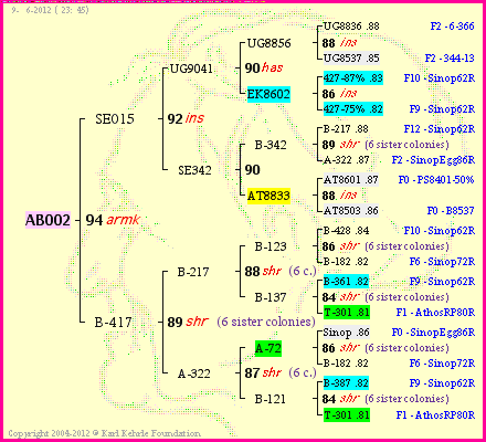 Pedigree of AB002 :
four generations presented