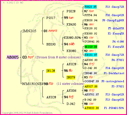 Pedigree of AB005 :
four generations presented