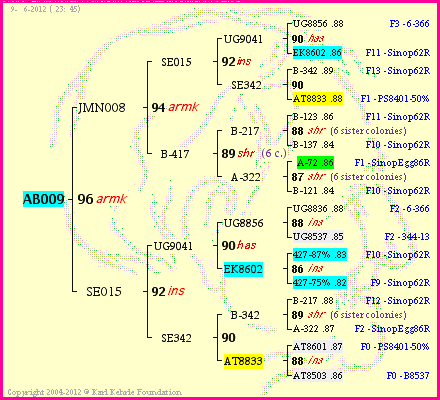 Pedigree of AB009 :
four generations presented