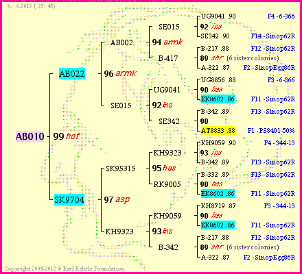 Pedigree of AB010 :
four generations presented