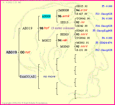 Pedigree of AB019 :
four generations presented