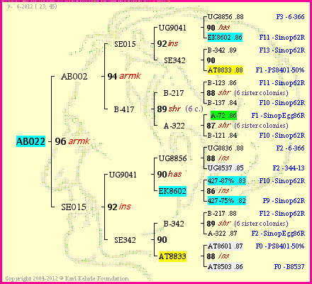 Pedigree of AB022 :
four generations presented