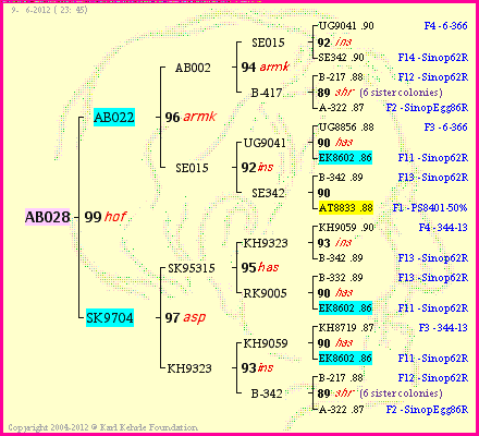 Pedigree of AB028 :
four generations presented