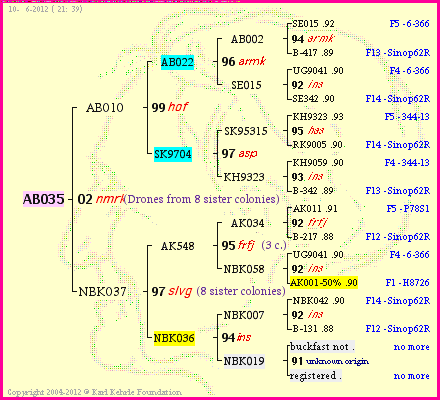 Pedigree of AB035 :
four generations presented