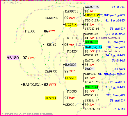 Pedigree of AB180 :
four generations presented