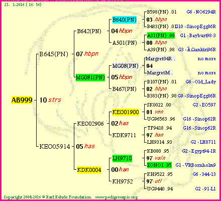 Pedigree of AB999 :
four generations presented
it's temporarily unavailable, sorry!