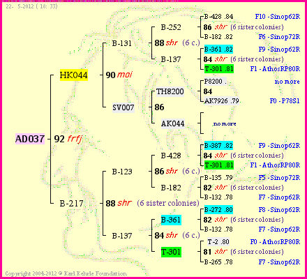 Pedigree of AD037 :
four generations presented