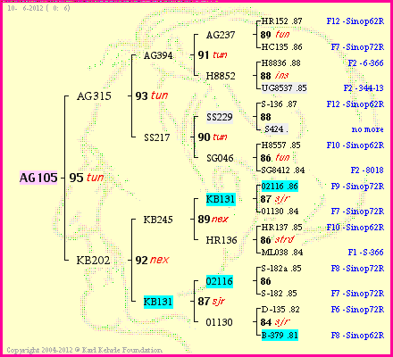 Pedigree of AG105 :
four generations presented