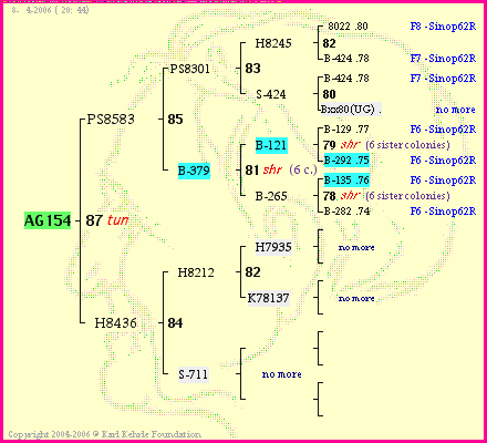 Pedigree of AG154 :
four generations presented