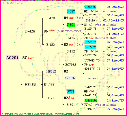 Pedigree of AG201 :
four generations presented