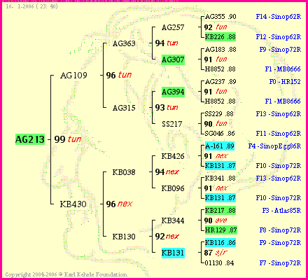 Pedigree of AG213 :
four generations presented
it's temporarily unavailable, sorry!