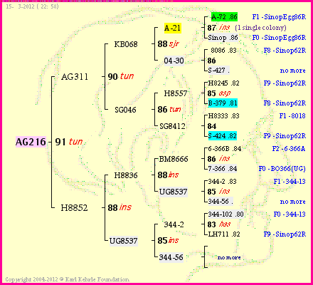 Pedigree of AG216 :
four generations presented