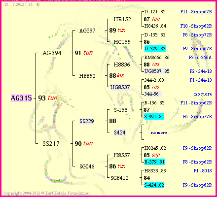 Pedigree of AG315 :
four generations presented
it's temporarily unavailable, sorry!