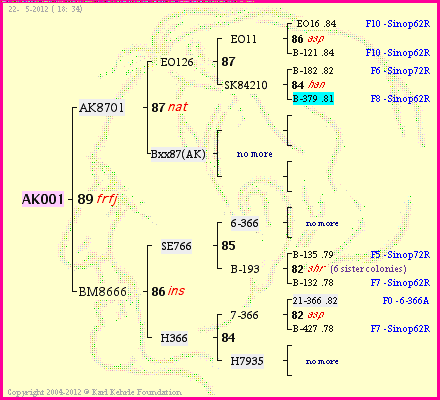 Pedigree of AK001 :
four generations presented