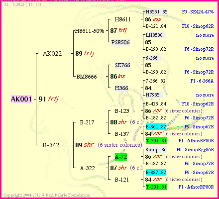 Pedigree of AK001 :
four generations presented