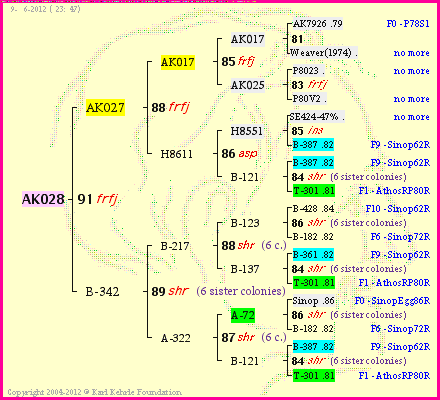 Pedigree of AK028 :
four generations presented