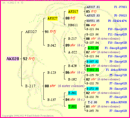 Pedigree of AK028 :
four generations presented