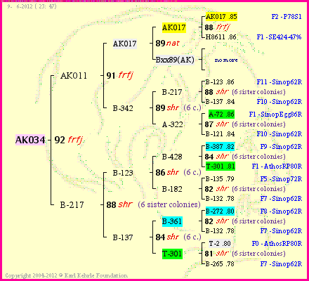 Pedigree of AK034 :
four generations presented