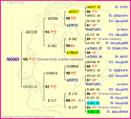 Pedigree of AK663 :
four generations presented