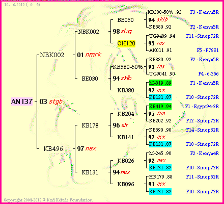 Pedigree of AN137 :
four generations presented