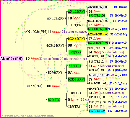 Pedigree of ANu02c(PN) :
four generations presented