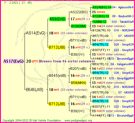 Pedigree of AS17(EvG) :
four generations presented
it's temporarily unavailable, sorry!