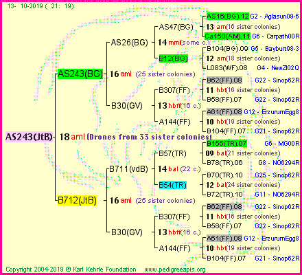 Pedigree of AS243(JtB) :
four generations presented<br />it's temporarily unavailable, sorry!