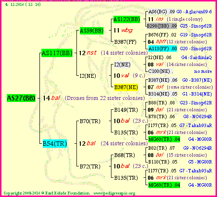 Pedigree of AS27(BB) :
four generations presented