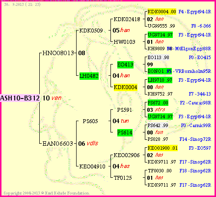 Pedigree of ASH10-B312 :
four generations presented