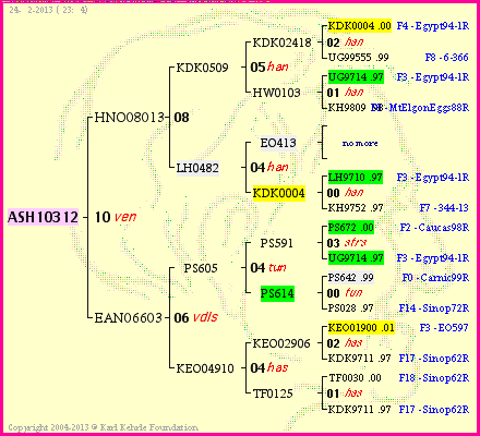 Pedigree of ASH10312 :
four generations presented