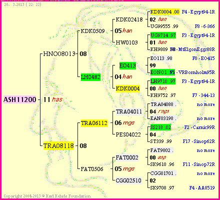 Pedigree of ASH11200 :
four generations presented